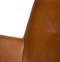 Eetkamerstoel Haily