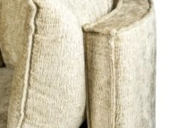 Fauteuil Adele Twist met draaisysteem