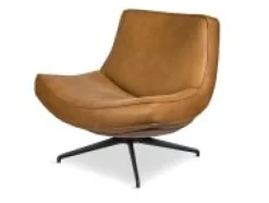 Fauteuil Hidde