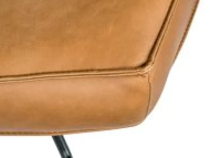 Fauteuil Hidde