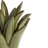 Kandelaar Cactus groen