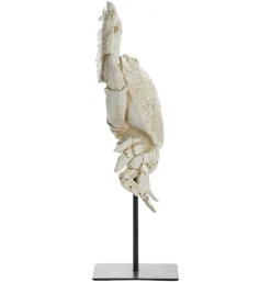 Ornament Crab wit