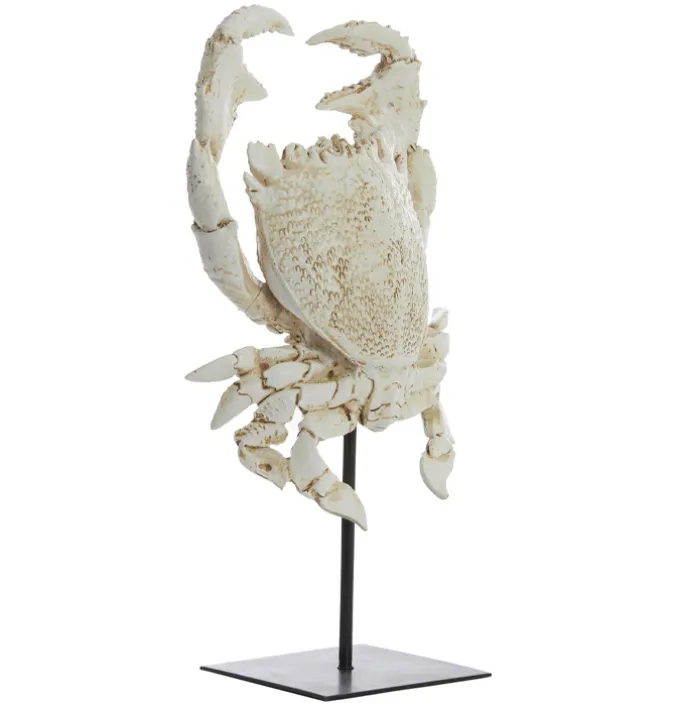 Ornament Crab wit