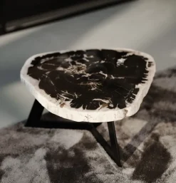 Salontafel Garung Versteend Hout