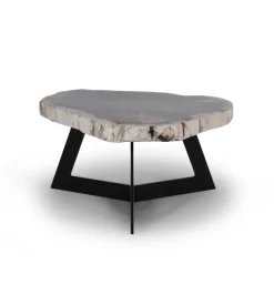 Salontafel Garung Versteend Hout