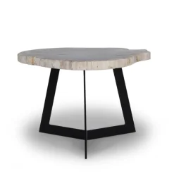 Salontafel Garung Versteend Hout