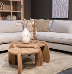 Salontafel set Balok Kodok bruin hout