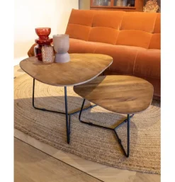 Salontafel Set Ivy Bruin