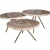 Salontafel Versteend Hout Driepoot
