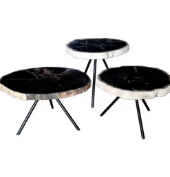 Salontafel Versteend Hout Driepoot