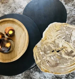Salontafel Versteend Hout Driepoot