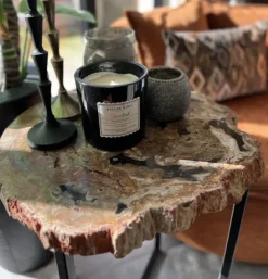 Salontafel Versteend Hout Driepoot
