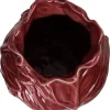 Vaas Cabbage Rood