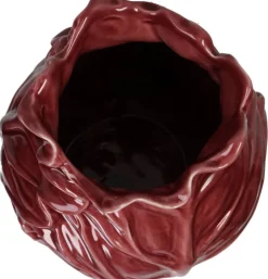 Vaas Cabbage Rood