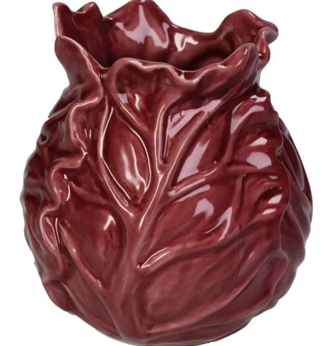 Vaas Cabbage Rood