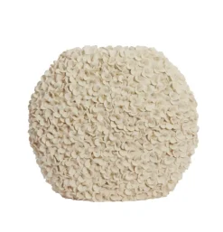 Vaas Phylia crème