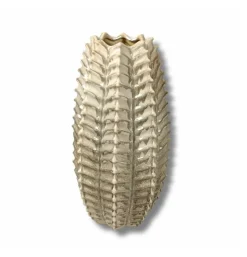 Vaas Wavy beige